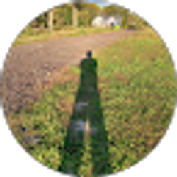 Profile photo of Robert DeMarais