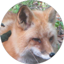 Profile photo of Steven Lucas