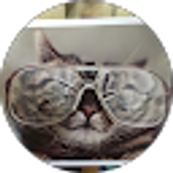 Profile photo of Peter Fridman