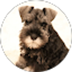 Profile photo of Josh