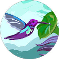 Profile photo of Macy Ottman