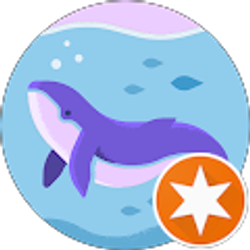 Profile photo of Chris M