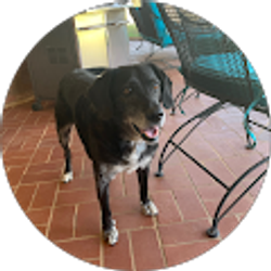 Profile photo of Doris Sutherland