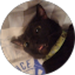 Profile photo of emily leal