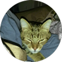 Profile photo of Georgia Millington