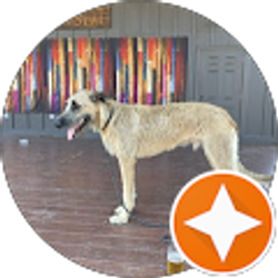 Profile photo of KENT DAUDERMAN