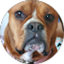 Profile photo of CindiB