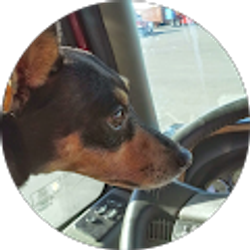 Profile photo of DeeDee Allen