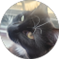 Profile photo of Sevastian Martinez
