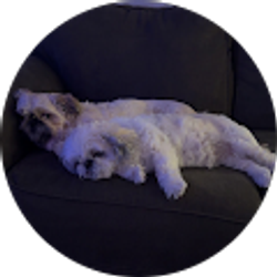 Profile photo of Brittany Morelli