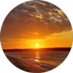 Profile photo of Monika Moses