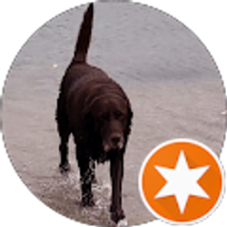 Profile photo of Toni Kline