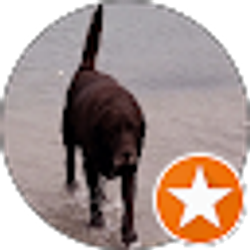 Profile photo of Toni Kline