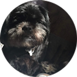 Profile photo of Sarah