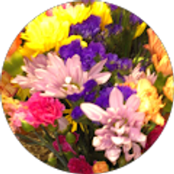 Profile photo of Starr Brasher