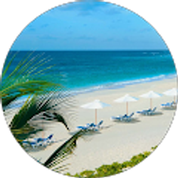 Profile photo of Laura Norton