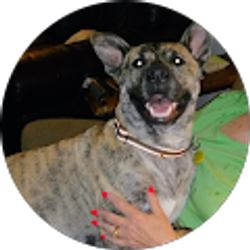 Profile photo of Tim Todd