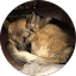Profile photo of No One