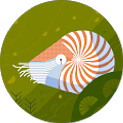 Profile photo of Hana Anderson