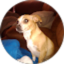 Profile photo of Dan W