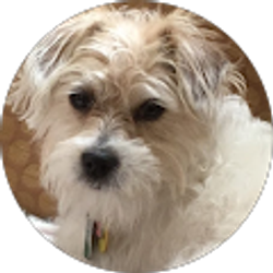 Profile photo of Kathryn Vitkus