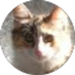 Profile photo of Lisa Prentice