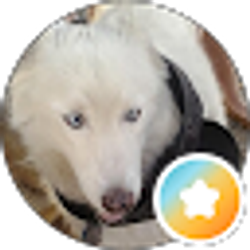 Profile photo of L S