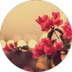Profile photo of Yumna Khan