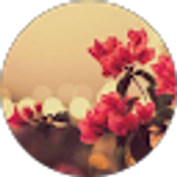 Profile photo of Yumna Khan