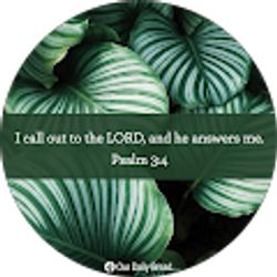 Profile photo of Ma Luisa Mariano