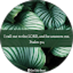 Profile photo of Ma Luisa Mariano