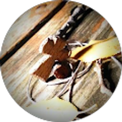 Profile photo of Anthony Carlson