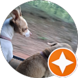 Profile photo of Jack Pitts