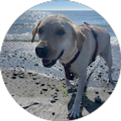 Profile photo of Brianna Tangreen