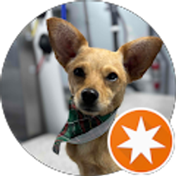 Profile photo of Debbie