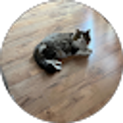 Profile photo of Debbi Cotterell