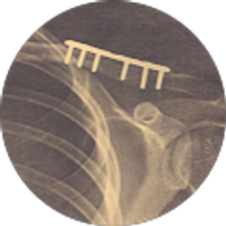 Profile photo of Tristan Lane