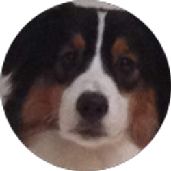 Profile photo of Angela Matthews