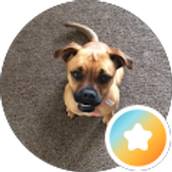 Profile photo of Elena Laurance