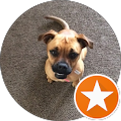 Profile photo of Elena Laurance