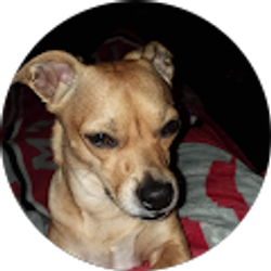 Profile photo of Lisa Barker