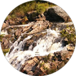 Profile photo of Patricia Pettit