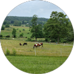 Profile photo of Alfonso Sorto