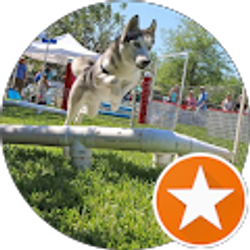 Profile photo of Omi K