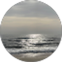 Profile photo of catherine vess