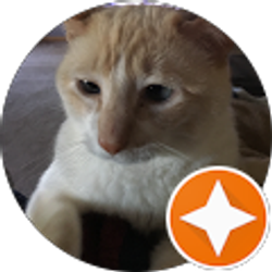 Profile photo of J Miller