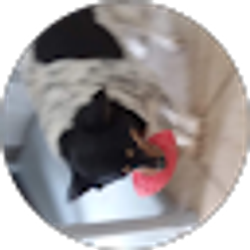 Profile photo of Pam Hackler