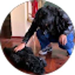 Profile photo of Angela Capuñay