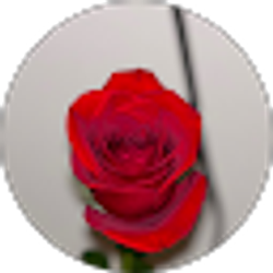 Profile photo of NEILA LOVE