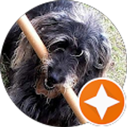 Profile photo of Joe Patton